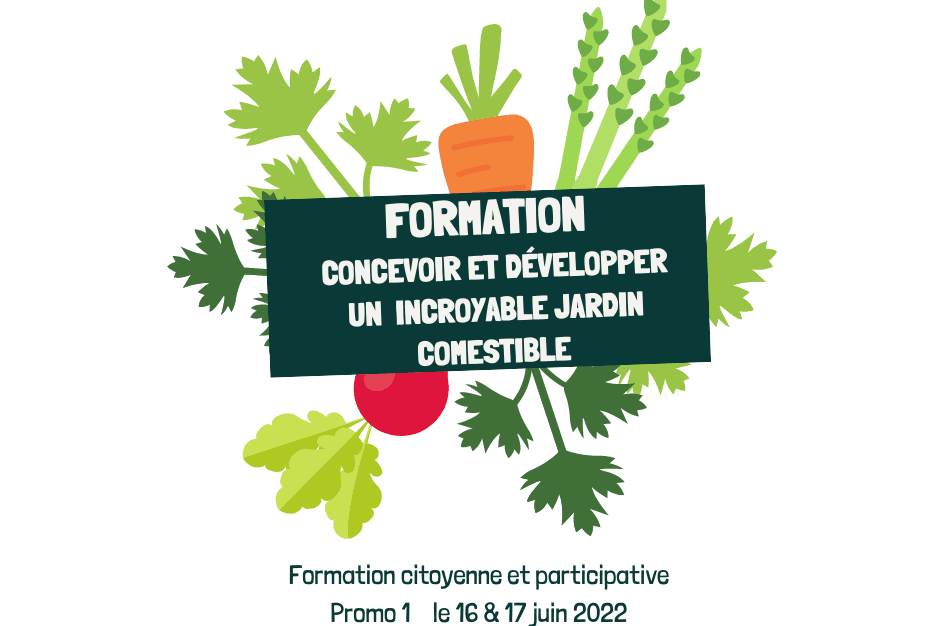 Formation